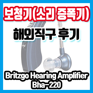 [아마존 직구] 저렴한 보청기(소리 증폭기) 구매 후기(Britzgo Digital Hearing Aid Amplifier Bha-220)