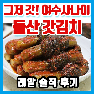 여수사나이 돌산 갓김치 2kg 구입 솔직 후기 (그저 갓…)