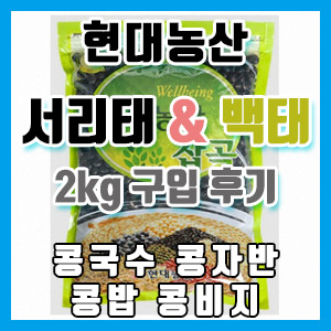 현대농산 서리태, 백태 2KG 구입 후기 – 서리태 콩국수, 콩자반 추천요!!