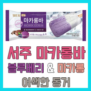 [아이스크림] 서주 마카롱바 – 블루베리 껌 마카롱? 칼로리 정보